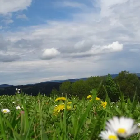 Desl's Little Farm Apartment Waldburg