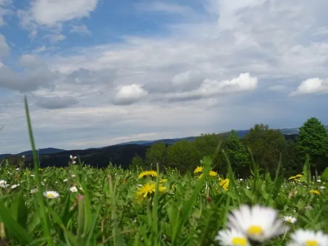 Desl's Little Farm شقة Waldburg